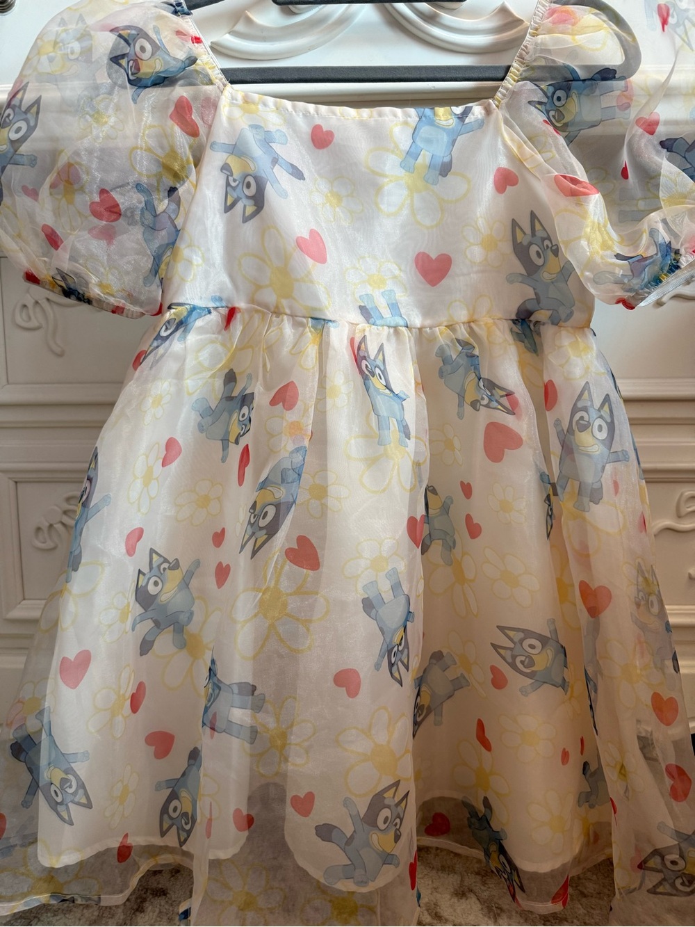 Girls' Bluey Organza Dress XL